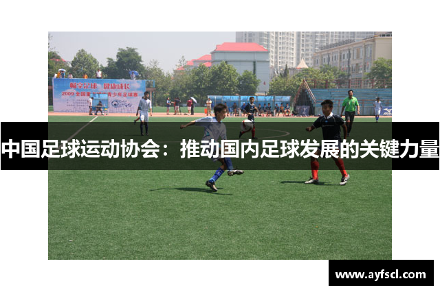 中国足球运动协会：推动国内足球发展的关键力量
